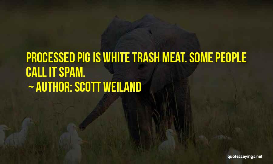 White Trash Quotes By Scott Weiland