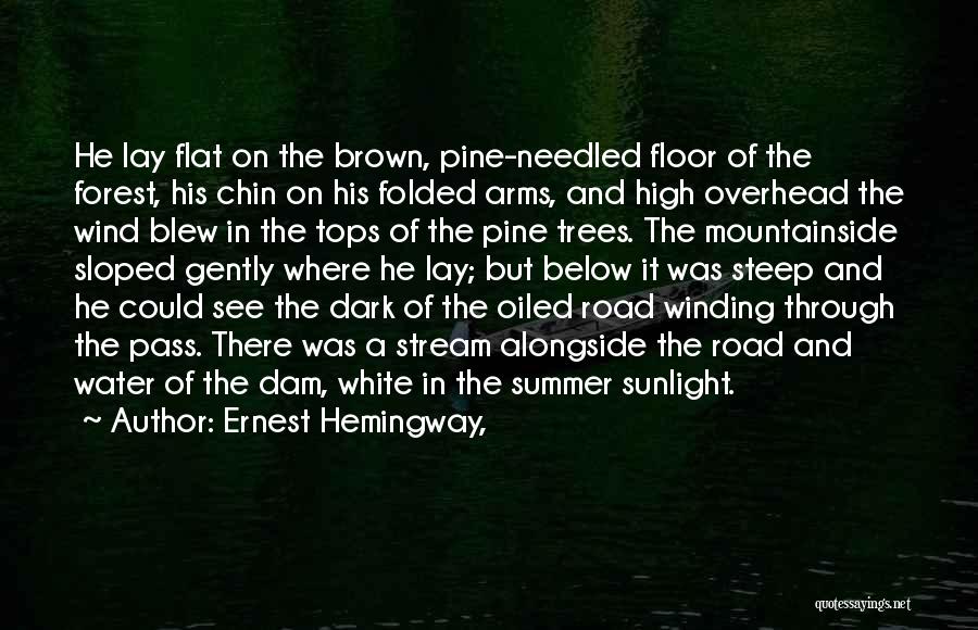 White Water Summer Quotes By Ernest Hemingway,