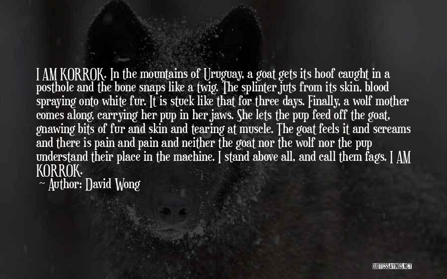 White Wolf Quotes By David Wong