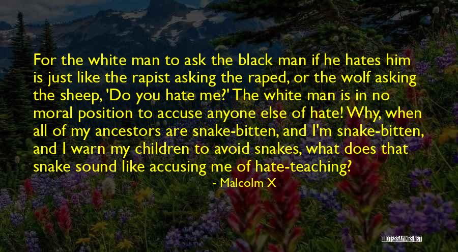 White Wolf Quotes By Malcolm X