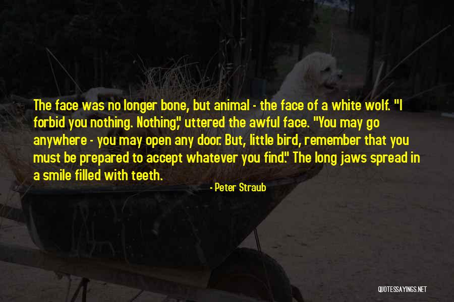 White Wolf Quotes By Peter Straub