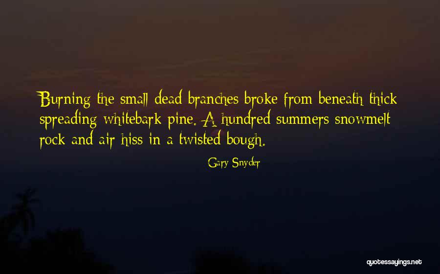 Whitebark Quotes By Gary Snyder Whitebark Quotes By Gary Snyder