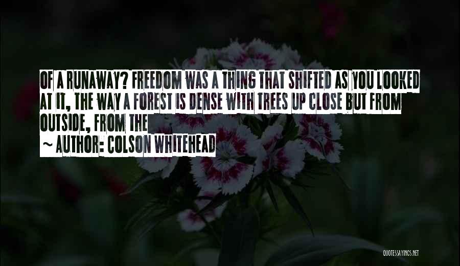 Whitehead Quotes By Colson Whitehead