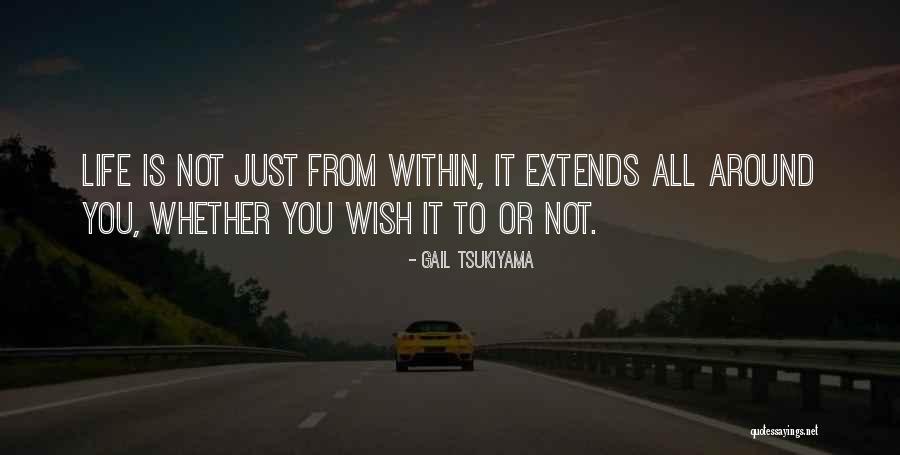 Whiteleaf Hill Quotes By Gail Tsukiyama Whiteleaf Hill Quotes By Gail Tsukiyama