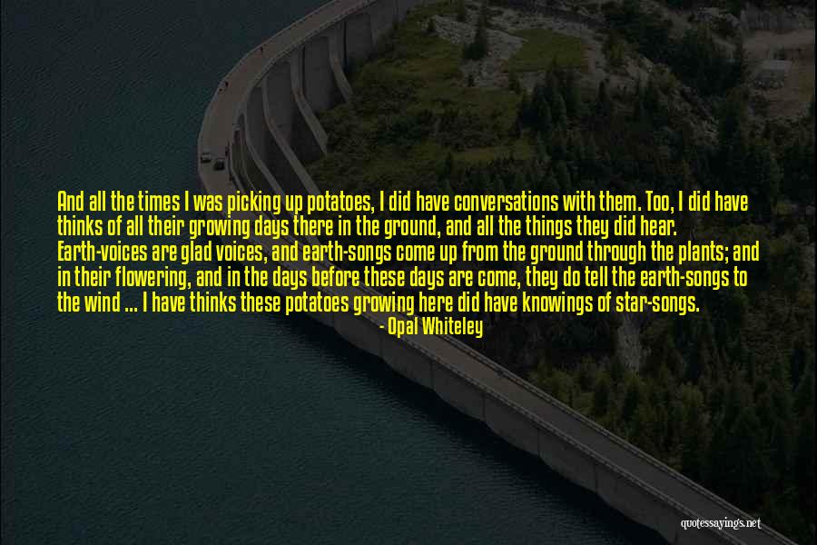 Whiteley Quotes By Opal Whiteley Whiteley Quotes By Opal Whiteley