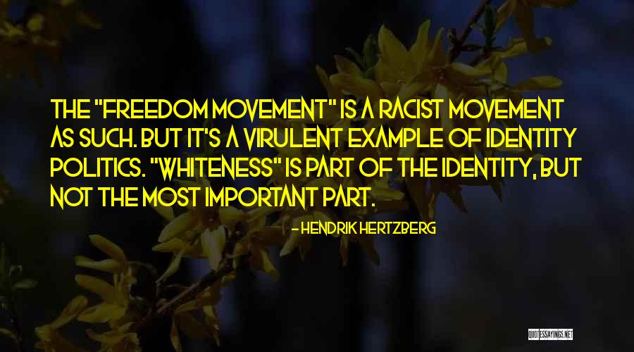 Whiteness Quotes By Hendrik Hertzberg