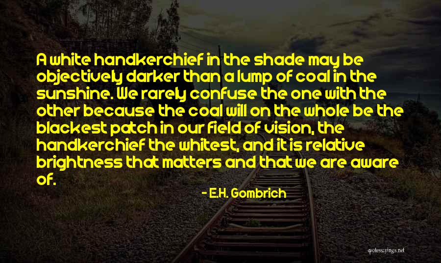 Whitest Quotes By E.H. Gombrich