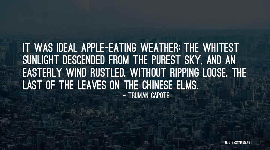 Whitest Quotes By Truman Capote