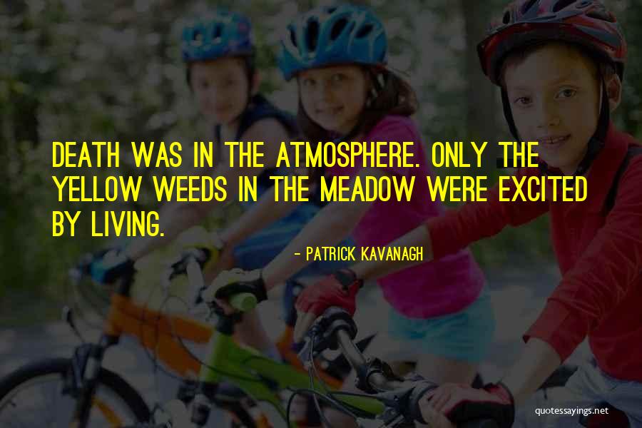 Whitethroat Bird Quotes By Patrick Kavanagh Whitethroat Bird Quotes By Patrick Kavanagh