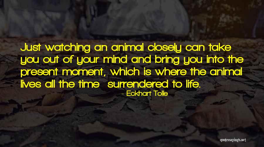 Whitewalls Band Quotes By Eckhart Tolle Whitewalls Band Quotes By Eckhart Tolle