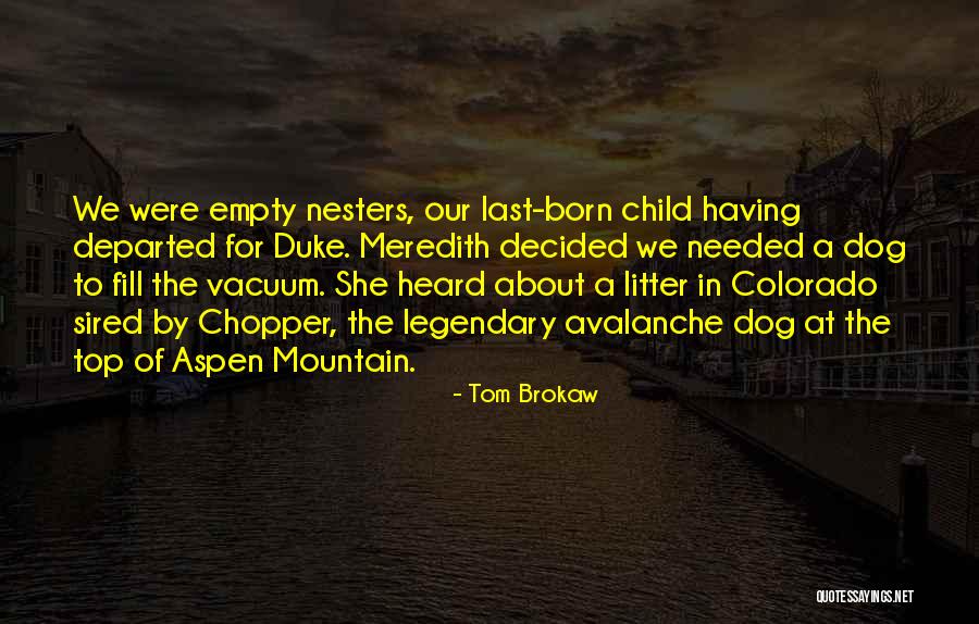 Whitgift Term Quotes By Tom Brokaw Whitgift Term Quotes By Tom Brokaw