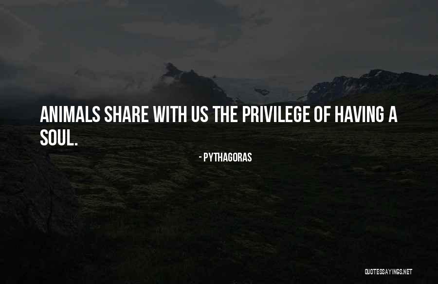 Whitsunday Beach Quotes By Pythagoras Whitsunday Beach Quotes By Pythagoras