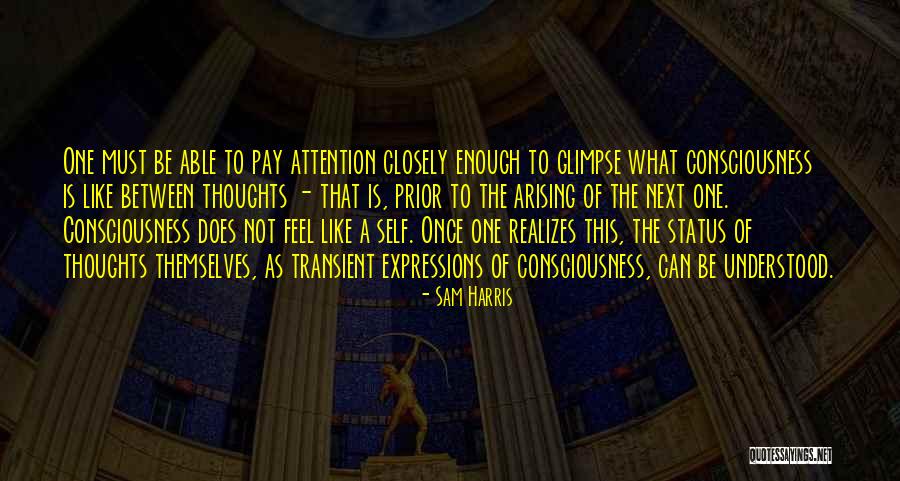 Whitsunday Times Quotes By Sam Harris Whitsunday Times Quotes By Sam Harris