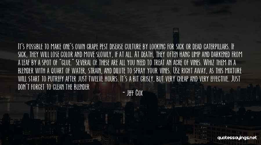 Whiz Quotes By Jeff Cox Whiz Quotes By Jeff Cox