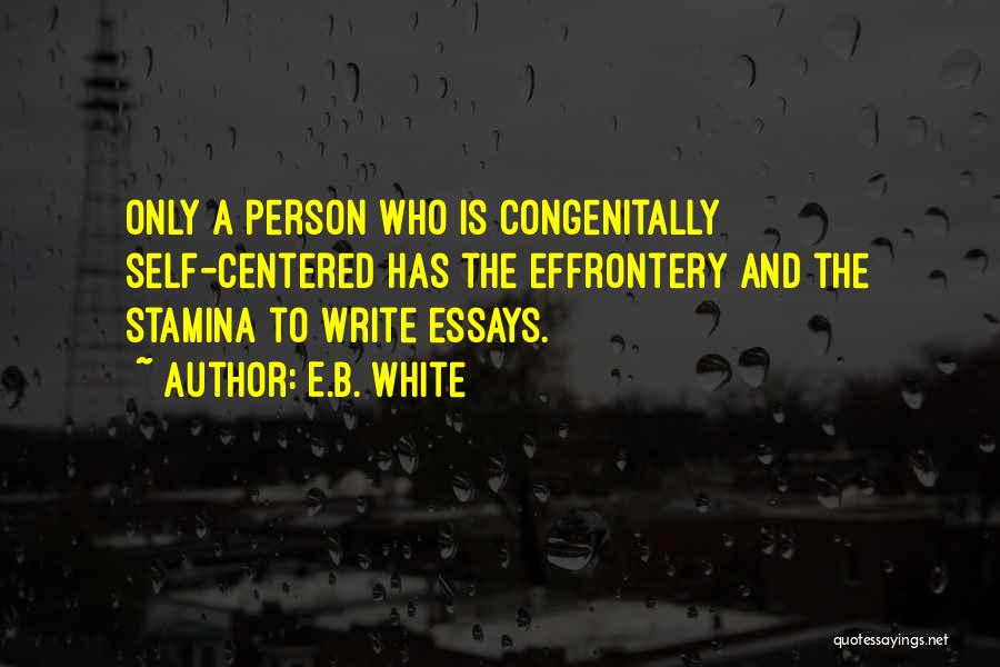 Who A Person Is Quotes By E.B. White