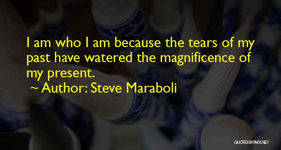 Who Am I Inspirational Quotes By Steve Maraboli