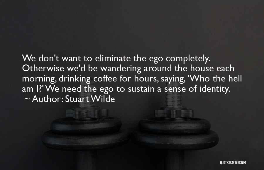 Who Am I Inspirational Quotes By Stuart Wilde