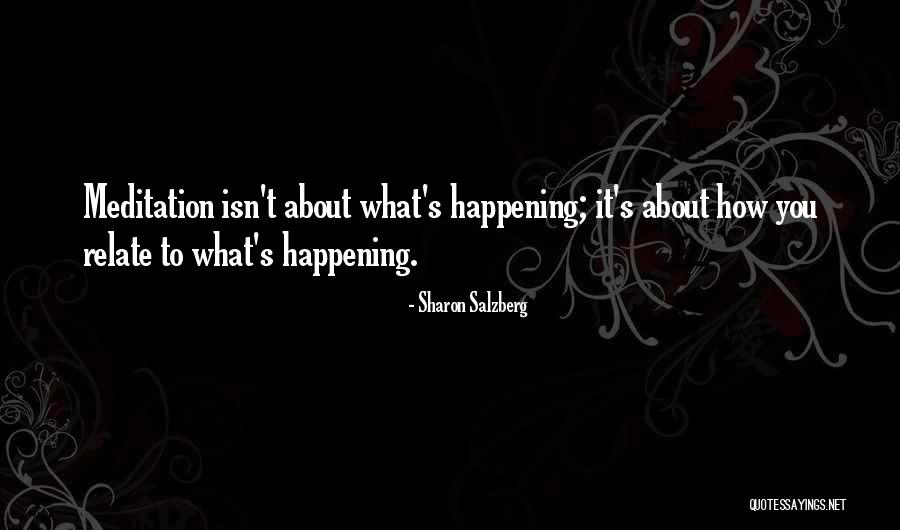 Who Am I Meditation Quotes By Sharon Salzberg Who Am I Meditation Quotes By Sharon Salzberg