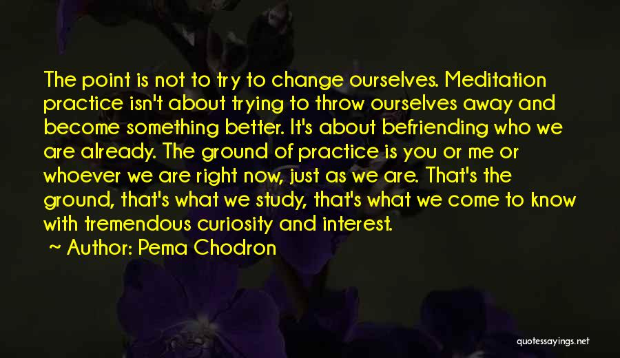 Who Are You To Me Quotes By Pema Chodron