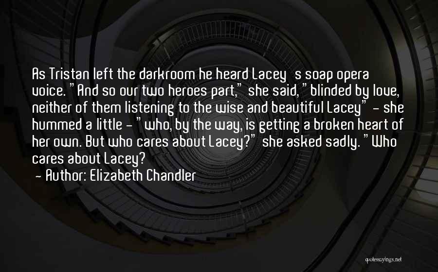 Who Cares Quotes By Elizabeth Chandler