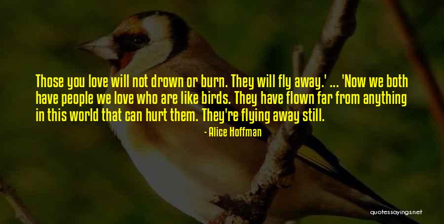 Who Hurt You Quotes By Alice Hoffman Who Hurt You Quotes By Alice Hoffman