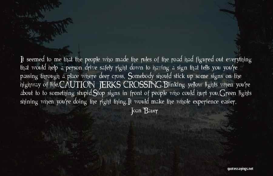 Who Hurt You Quotes By Joan Bauer