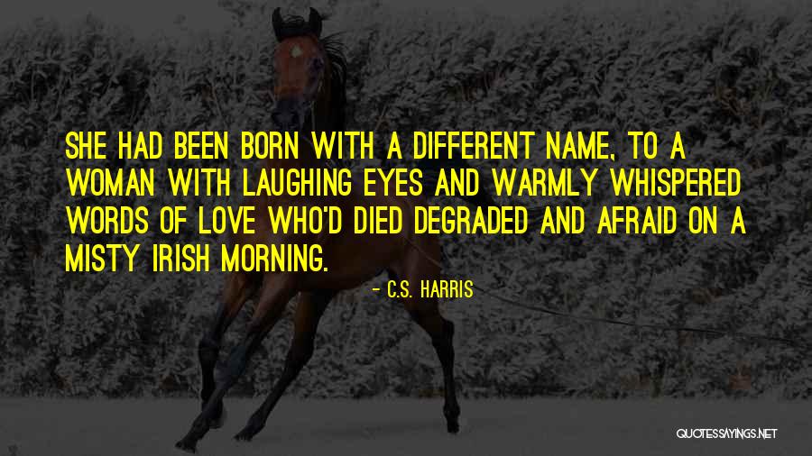 Who Irish Quotes By C.S. Harris