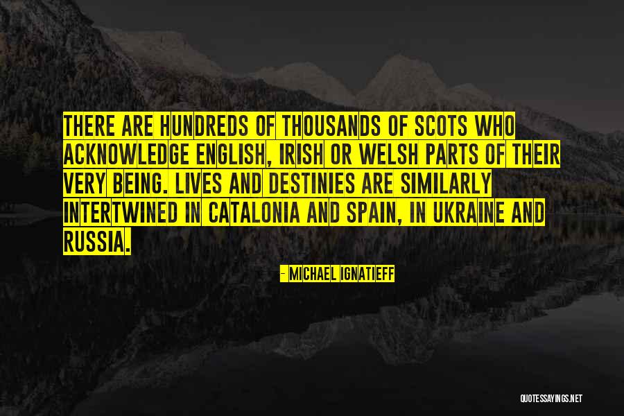 Who Irish Quotes By Michael Ignatieff