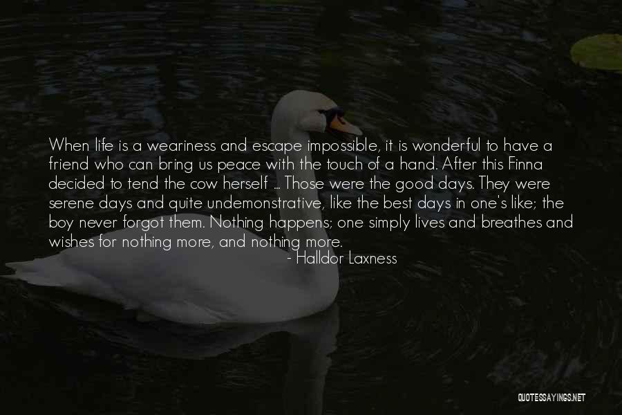 Who Is Best Friend Quotes By Halldor Laxness Who Is Best Friend Quotes By Halldor Laxness