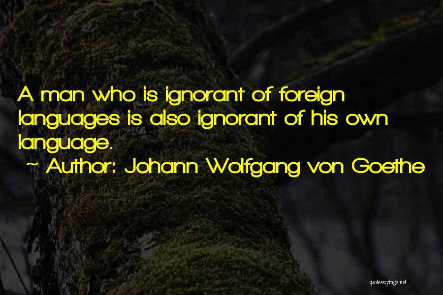 Who Is Goethe Quotes By Johann Wolfgang Von Goethe