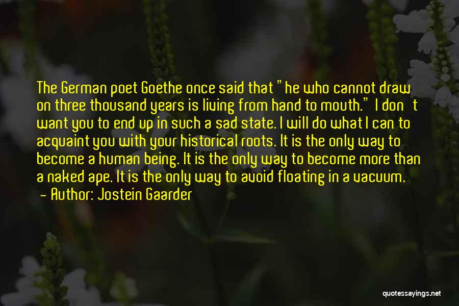 Who Is Goethe Quotes By Jostein Gaarder