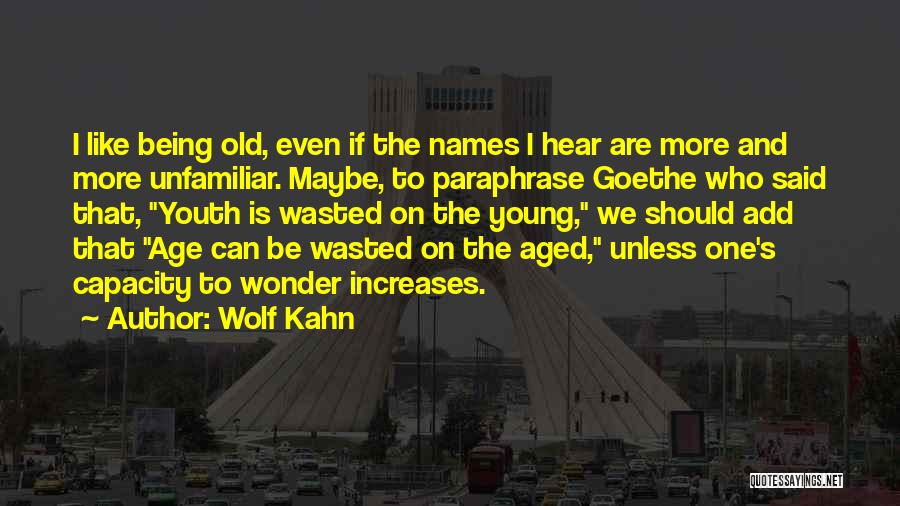 Who Is Goethe Quotes By Wolf Kahn