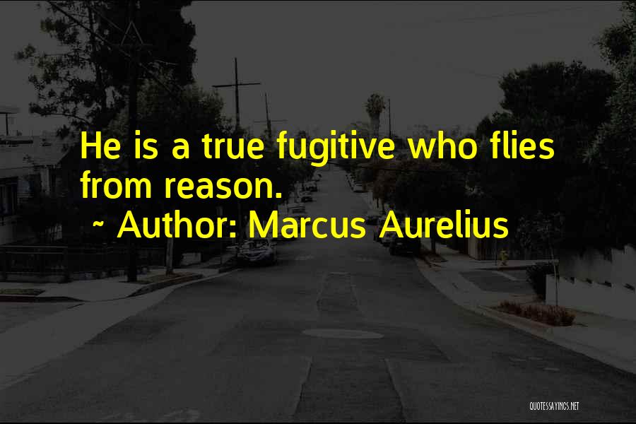 Who Is He Quotes By Marcus Aurelius