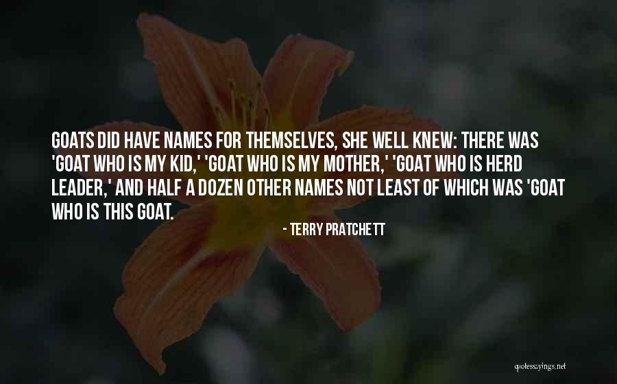 Who Is Mother Quotes By Terry Pratchett