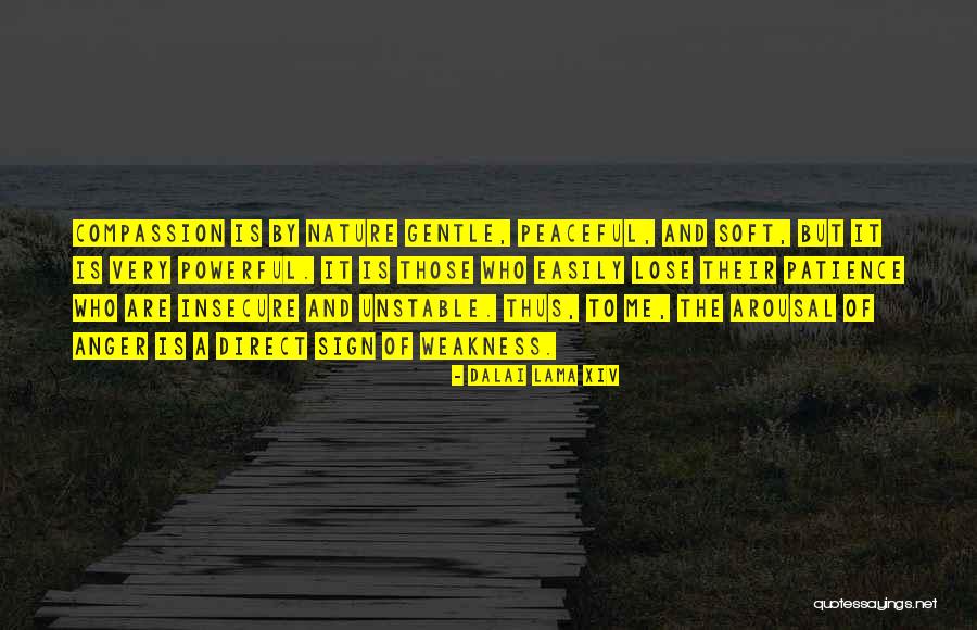 Who Is The Powerful Quotes By Dalai Lama XIV Who Is The Powerful Quotes By Dalai Lama XIV