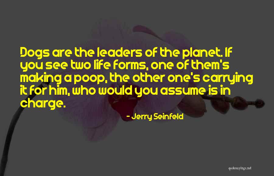 Who S In Charge Quotes By Jerry Seinfeld Who S In Charge Quotes By Jerry Seinfeld