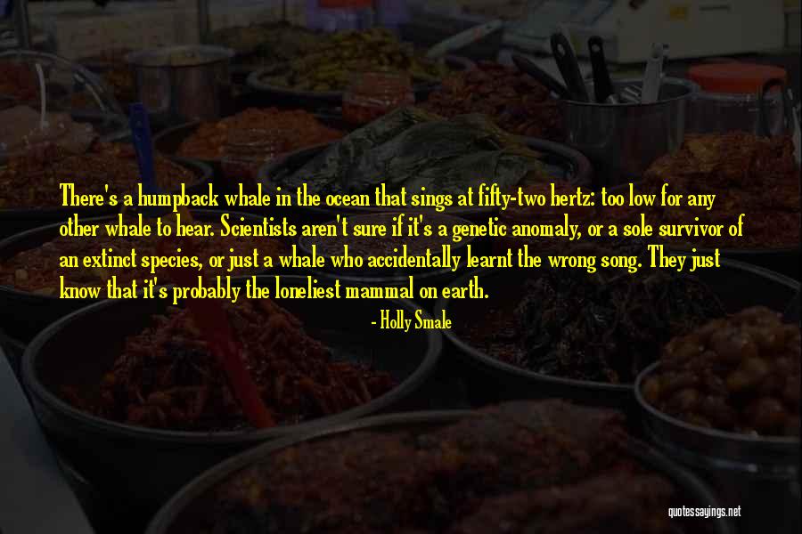 Who Song Quotes By Holly Smale Who Song Quotes By Holly Smale
