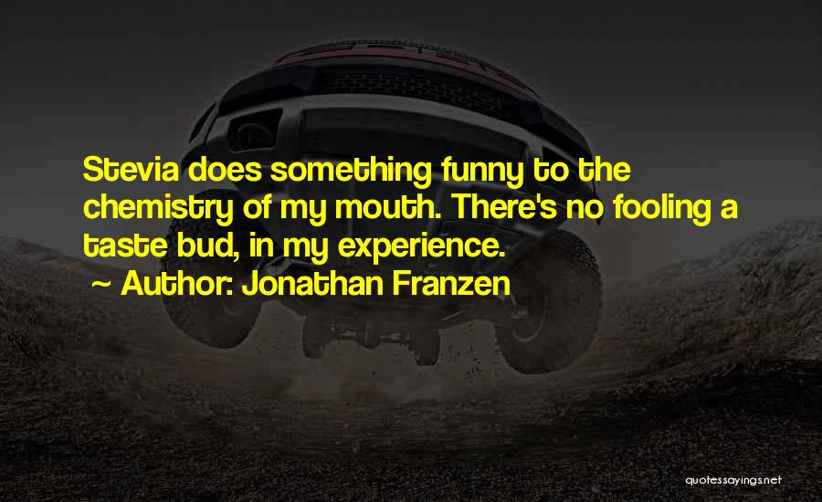 Who You Fooling Quotes By Jonathan Franzen