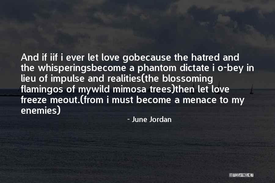 Whoadies Quotes By June Jordan Whoadies Quotes By June Jordan