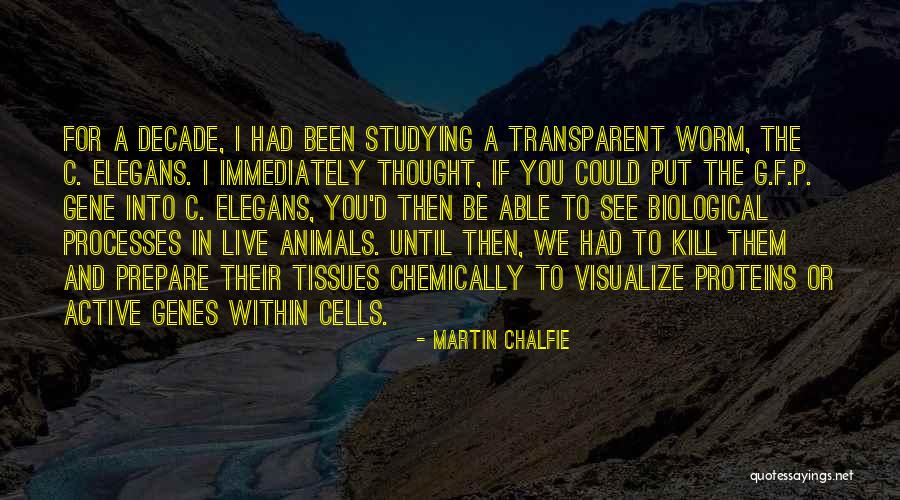 Whodunnit Tv Quotes By Martin Chalfie Whodunnit Tv Quotes By Martin Chalfie