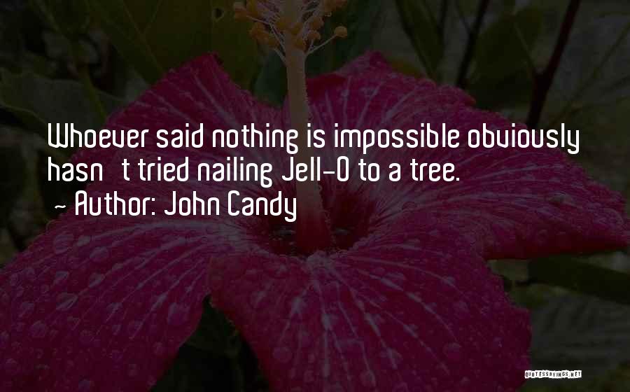 Whoever Said Nothing Is Impossible Quotes By John Candy