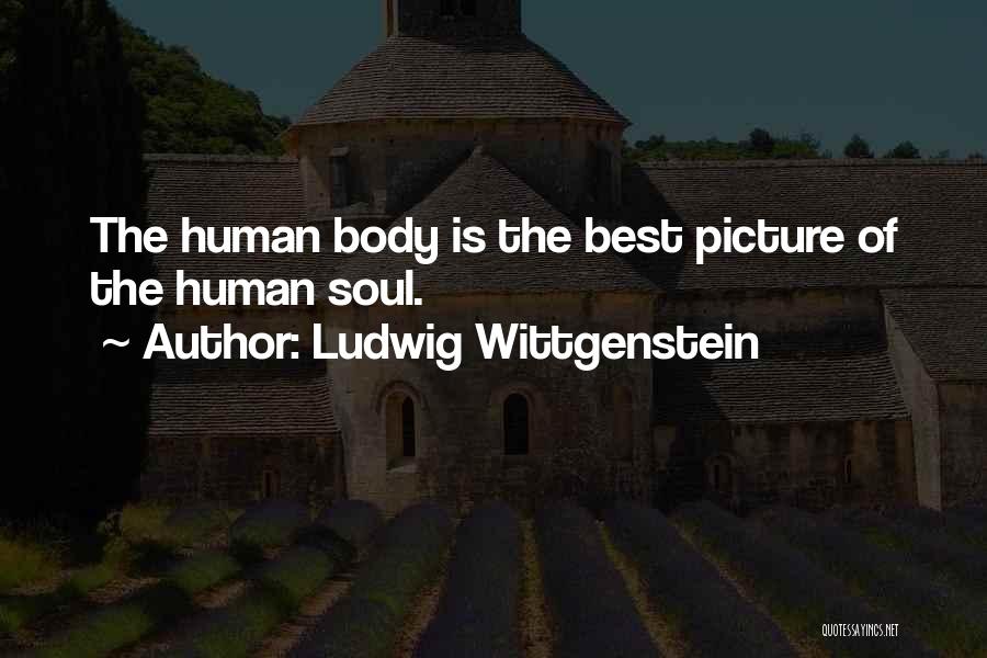 Whole Body Picture Quotes By Ludwig Wittgenstein