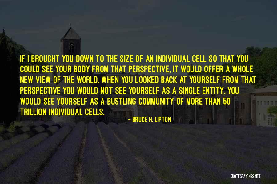 Whole Body Quotes By Bruce H. Lipton Whole Body Quotes By Bruce H. Lipton
