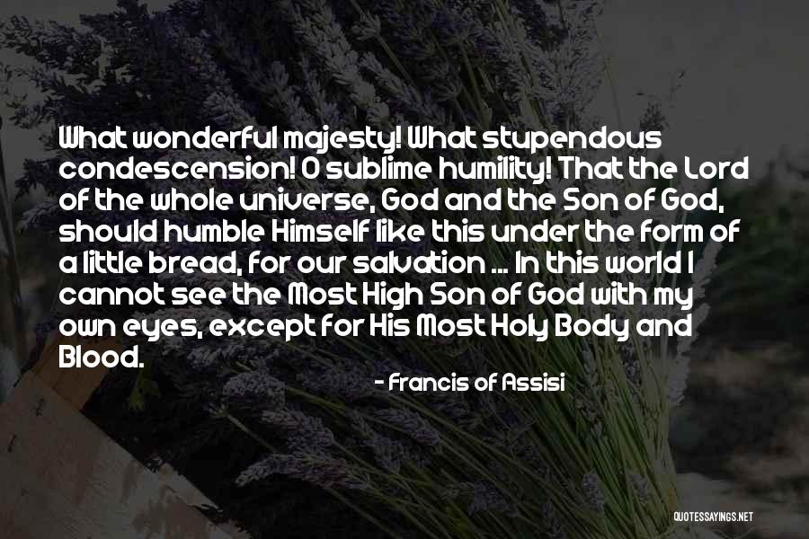 Whole Body Quotes By Francis Of Assisi Whole Body Quotes By Francis Of Assisi