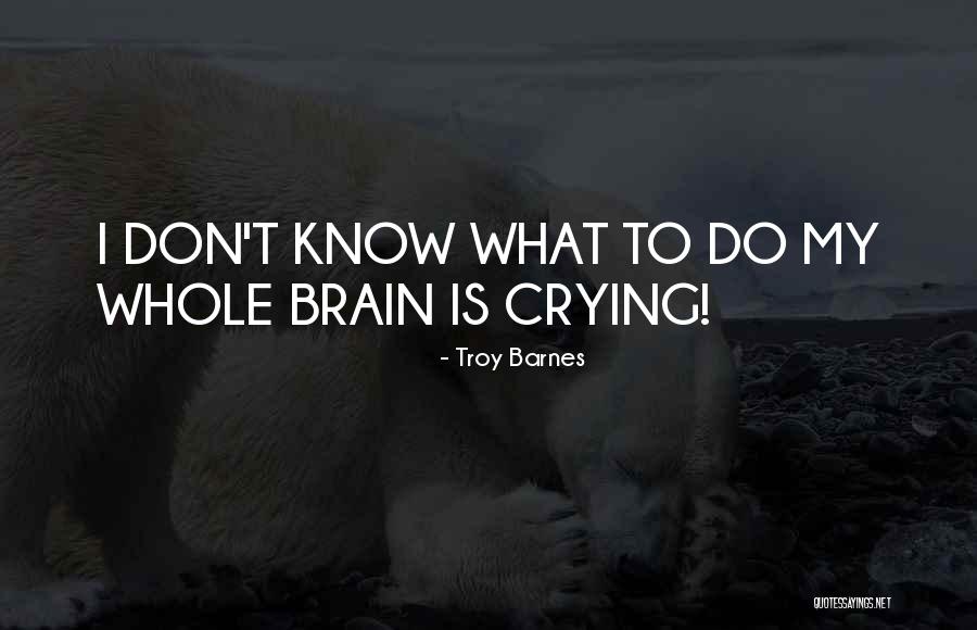 Whole Brain Quotes By Troy Barnes Whole Brain Quotes By Troy Barnes