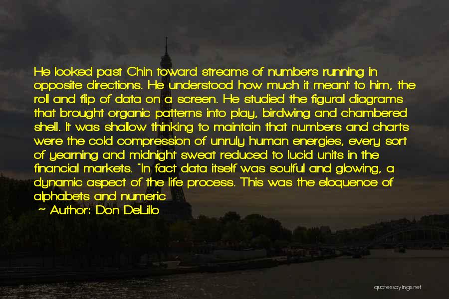 Whole Numbers Quotes By Don DeLillo