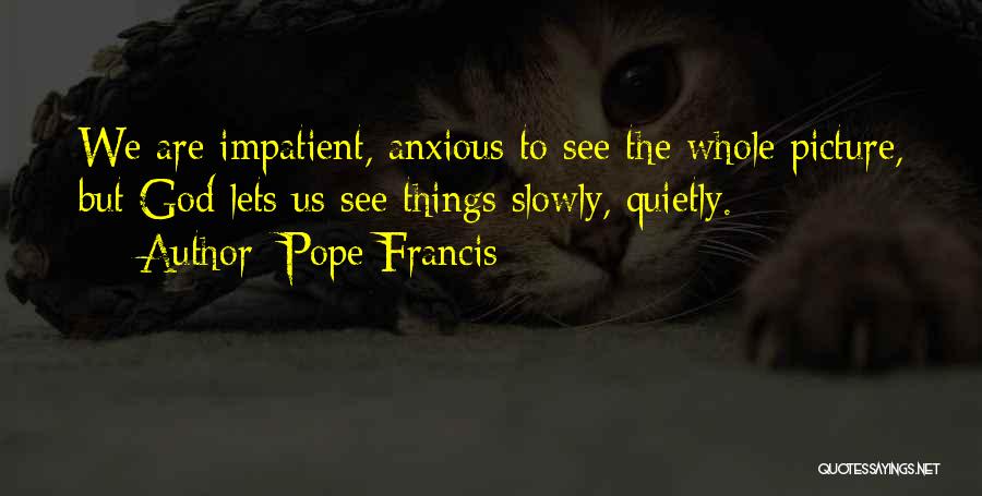 Whole Picture Quotes By Pope Francis
