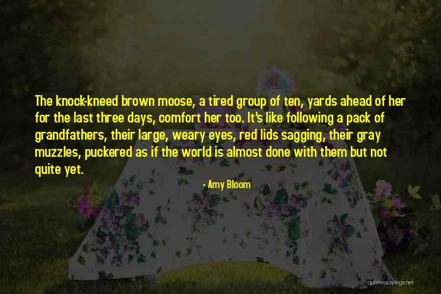 Whole Ten Yards Quotes By Amy Bloom Whole Ten Yards Quotes By Amy Bloom