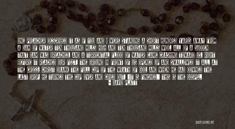 Whole Ten Yards Quotes By David Platt Whole Ten Yards Quotes By David Platt