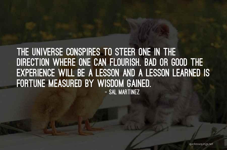 Whole Universe Conspires Quotes By Sal Martinez Whole Universe Conspires Quotes By Sal Martinez